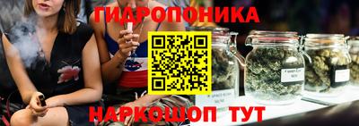 прущие грибы Комсомольск-на-Амуре