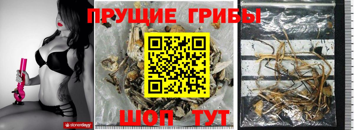 Псилоцибиновые грибы ЛСД Кохма